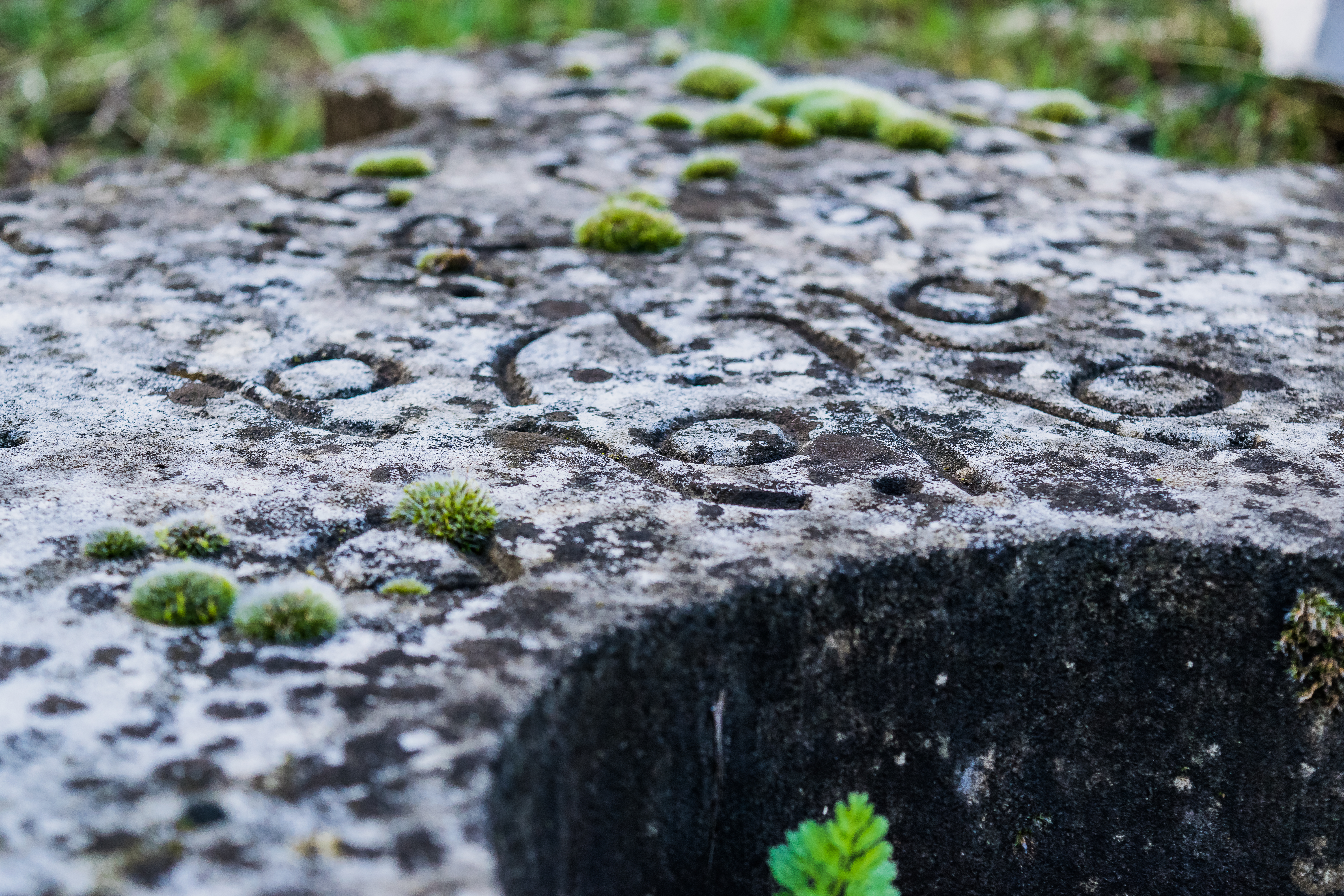 PARTIZANSKO GROBLJE-0233